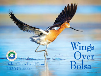 2026 Wings Over Bolsa Calendar