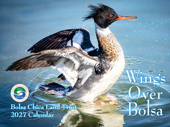 2027 Wings Over Bolsa Calendar